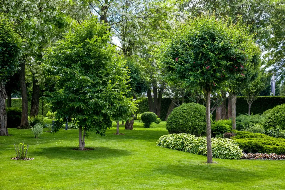 Entretien des espaces verts  - Seguin Paysage à Mézidon Vallée d'Auge (webp