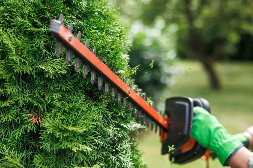 Entretien des espaces verts